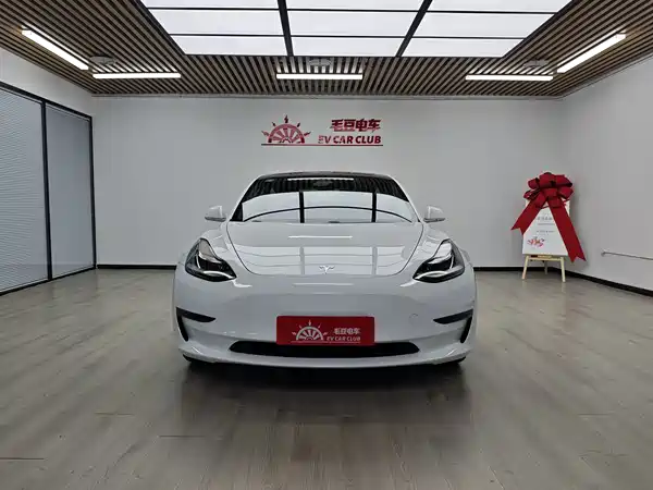 Tesla Model 3 2019