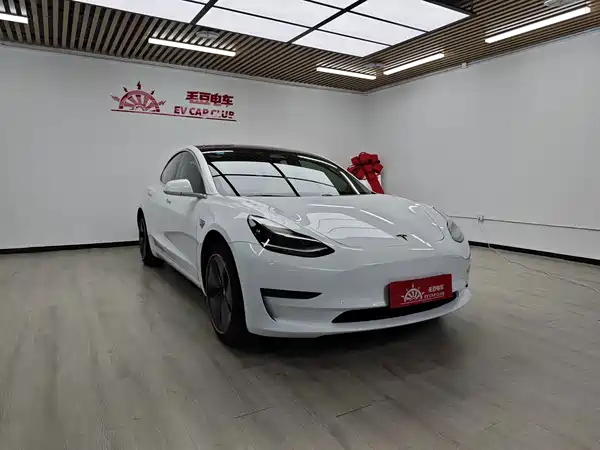 Tesla Model 3 2019