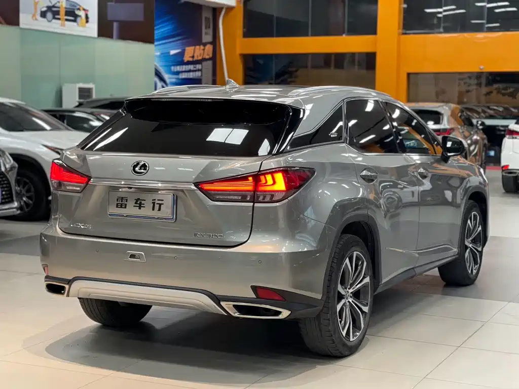 Lexus RX 2020 — фото 11