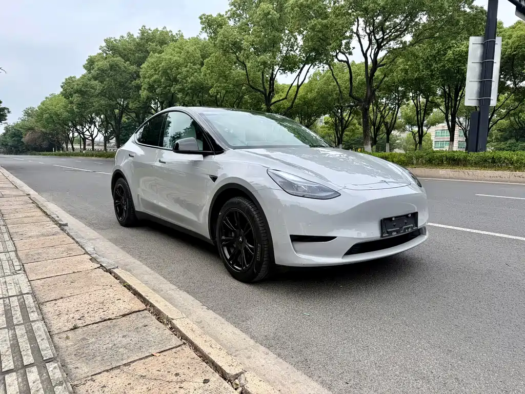 Tesla Model Y 2023 — фото 3