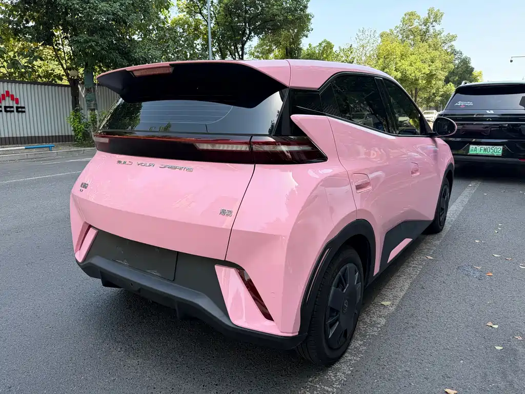 BYD Seagull 2024