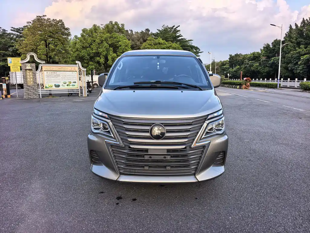 Dongfeng Lingzhi 2023