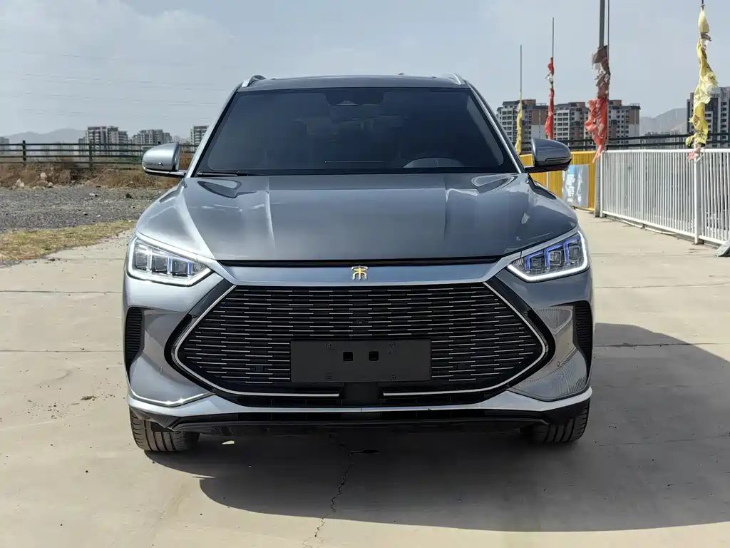 BYD PLUS New Energy 2023 — фото 2