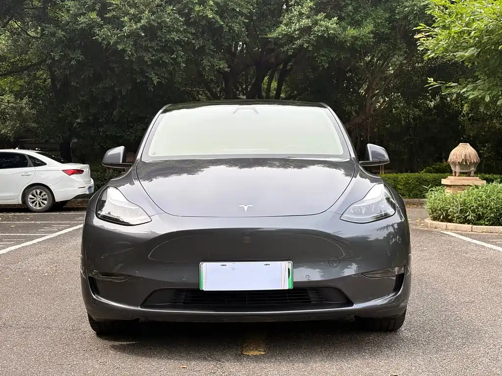 Tesla Model Y 2021 — фото 2