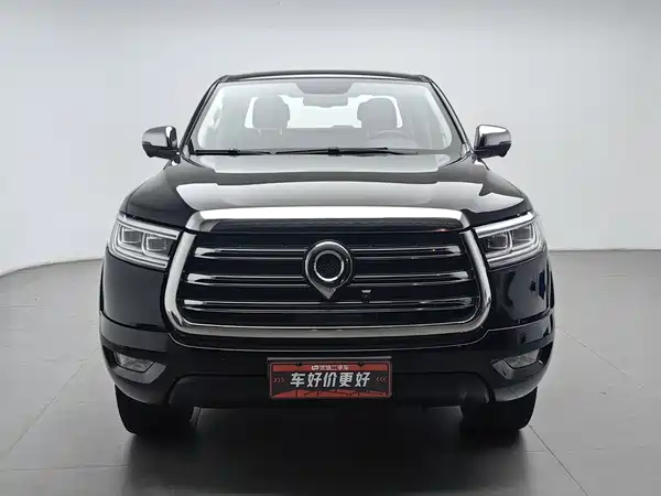 Great Wall Poer 2020