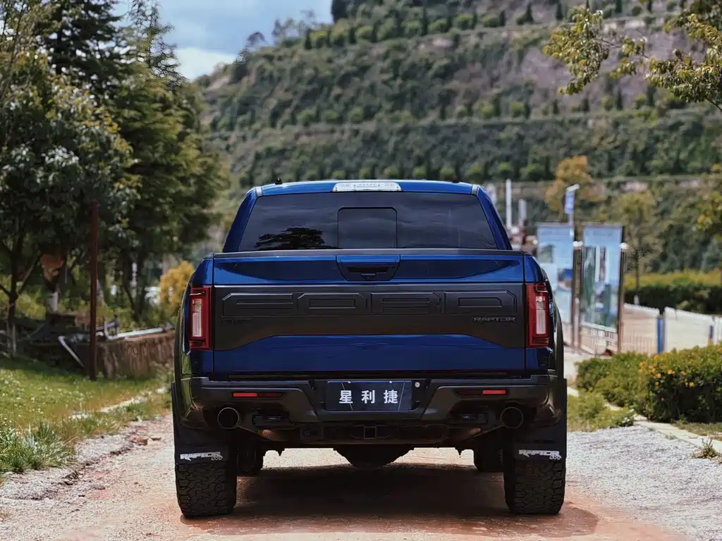Ford F-150 Raptor 2019 — фото 5