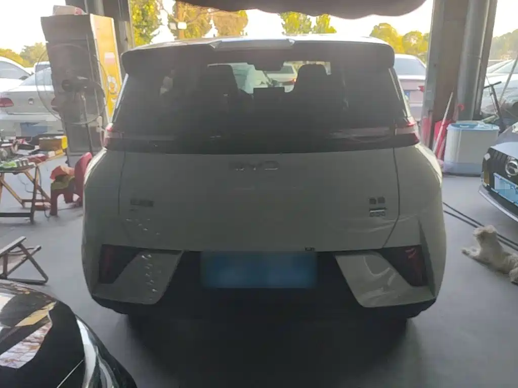 BYD Seagull 2026