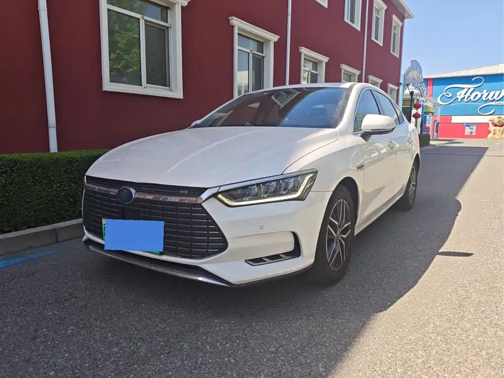 BYD Qin Pro NEV 2018 — фото 1