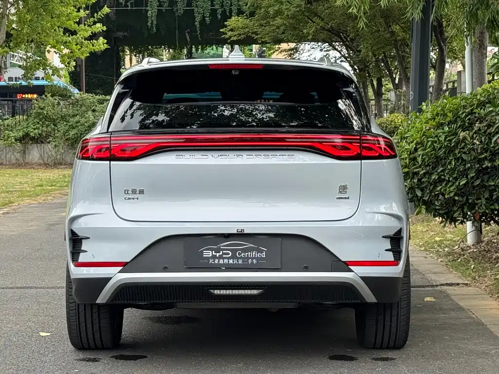 BYD Tang New Energy 2025 — фото 12