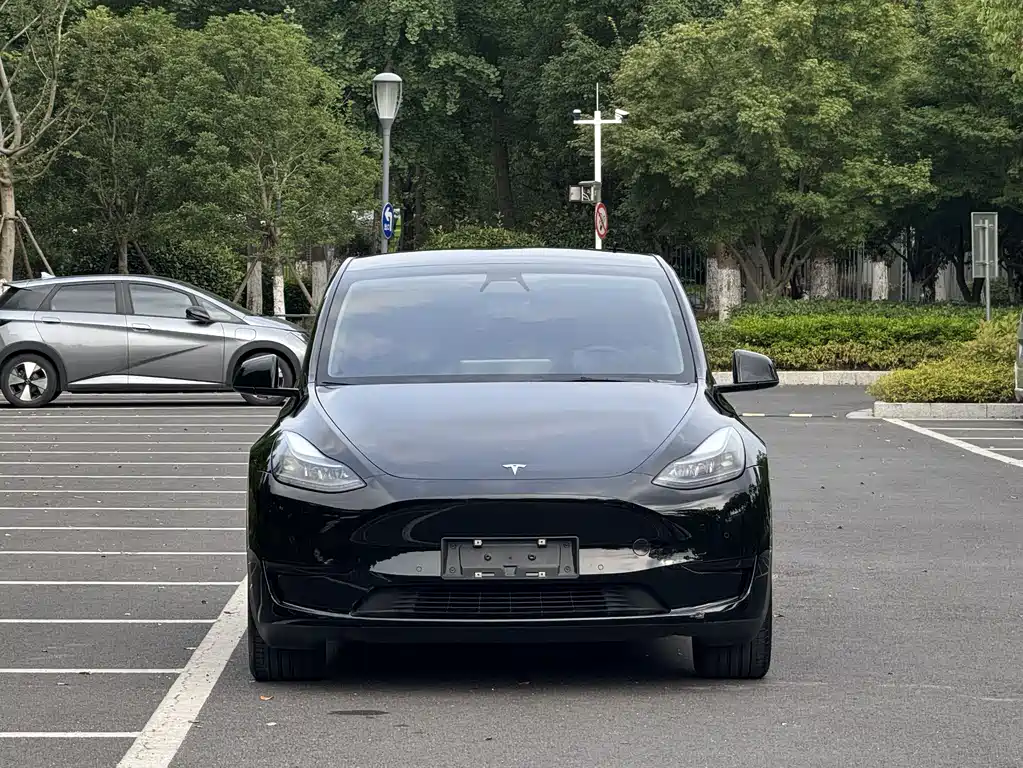 Tesla Model Y 2023 — фото 2
