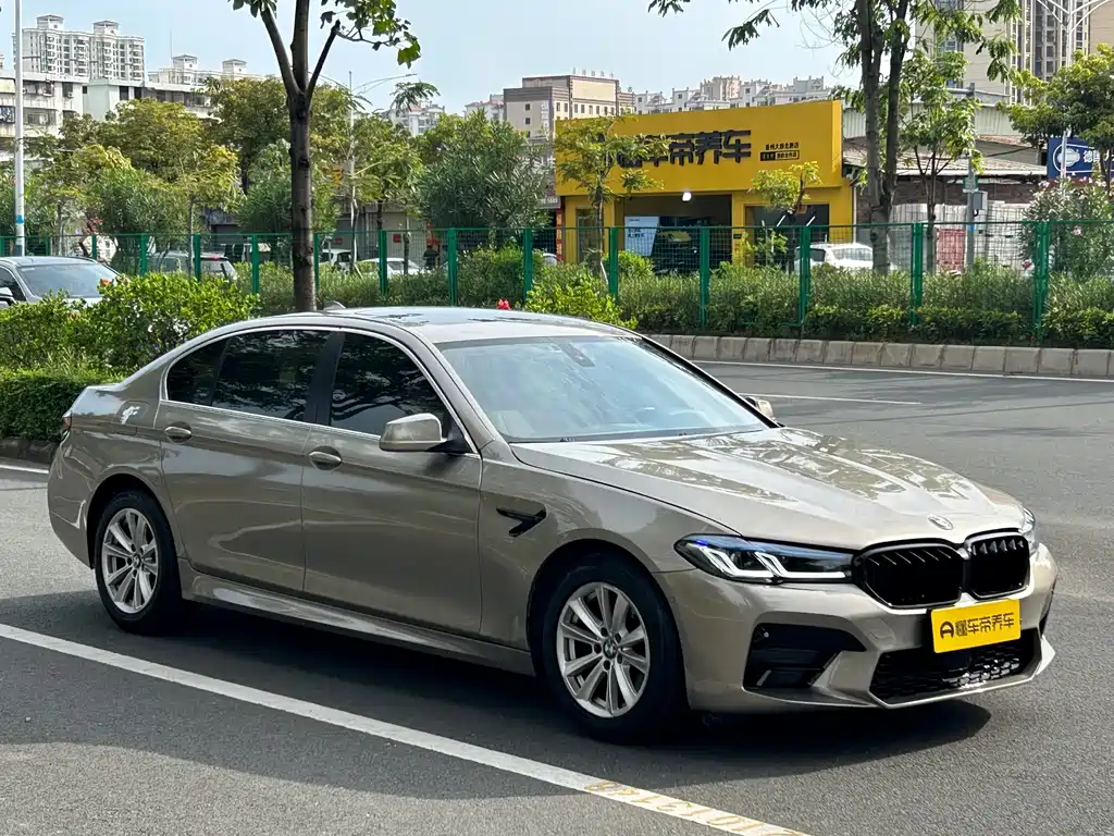 BMW 5 Series 2010