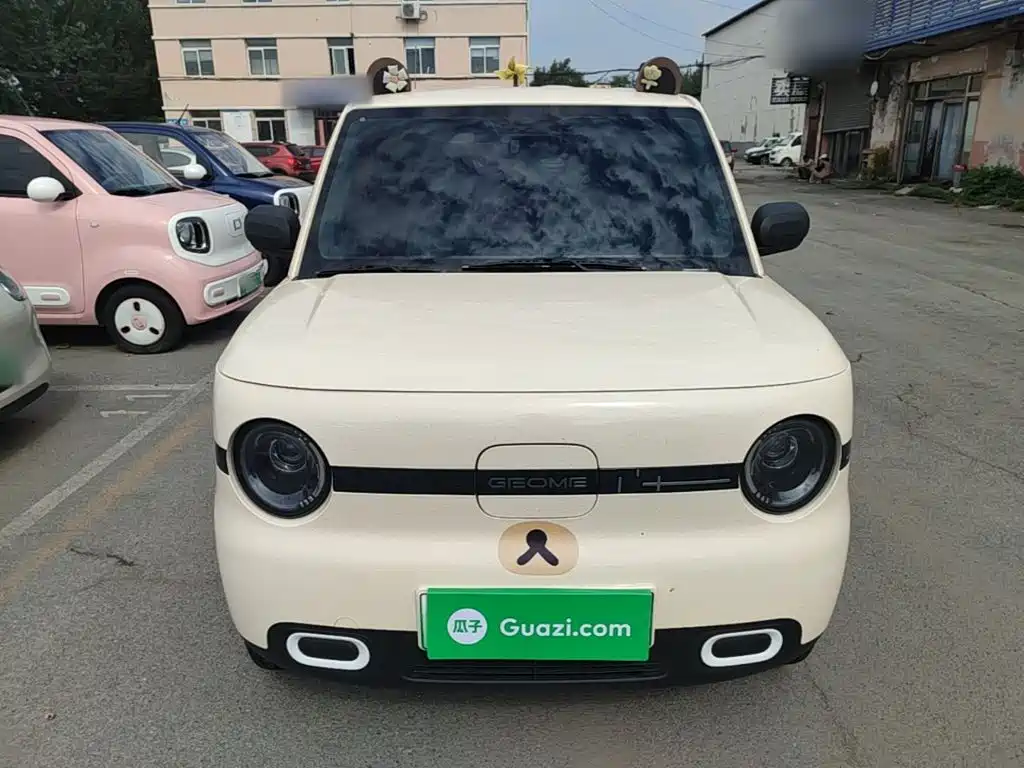 Geely Galaxy Panda 2025 — фото 3