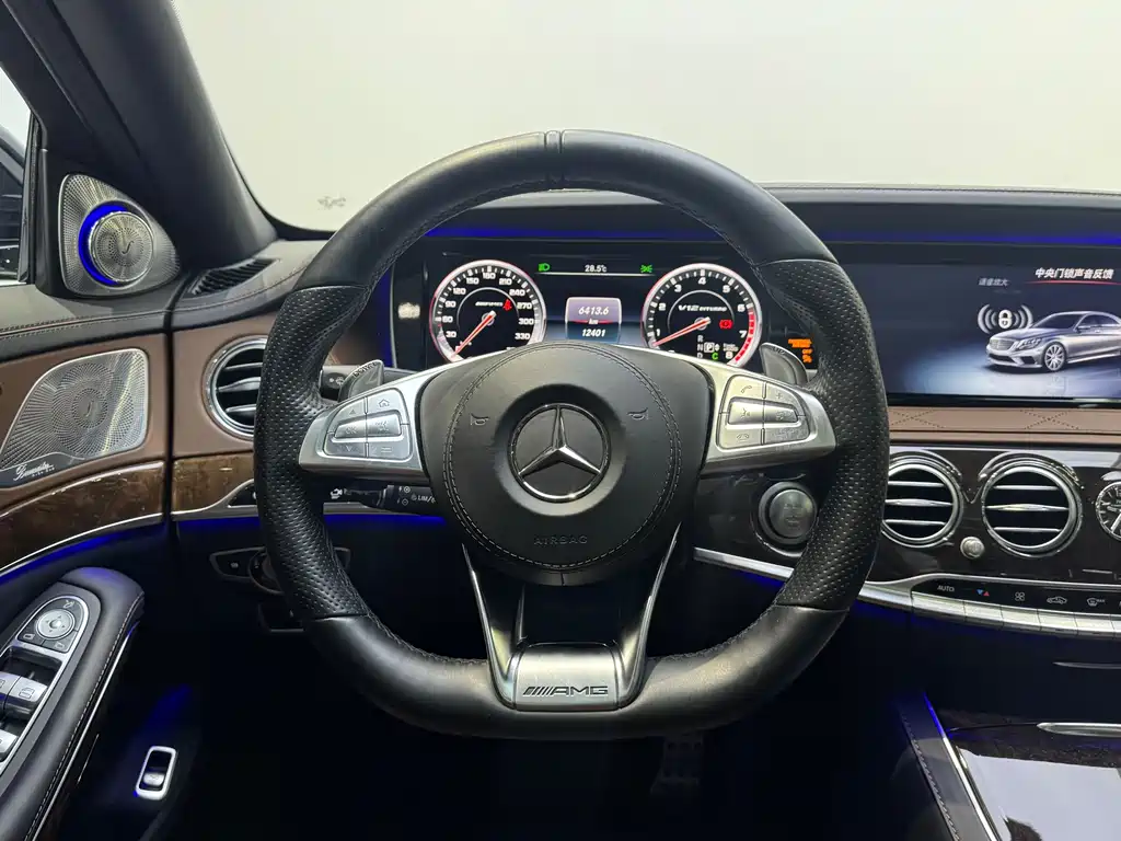 Mercedes-Benz S-Class AMG 2017 — фото 9
