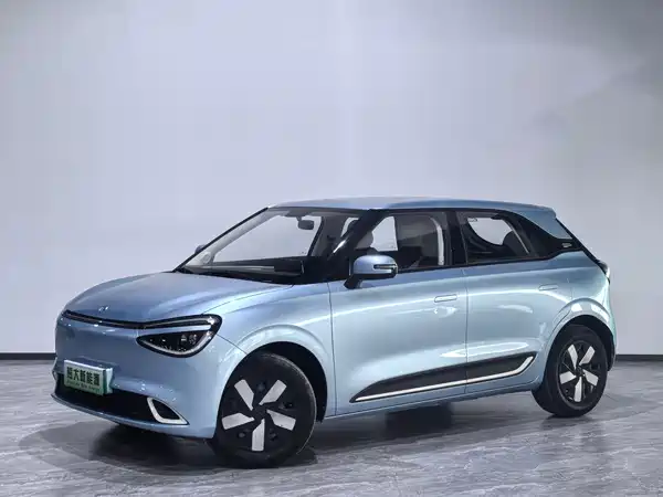 Dongfeng Nano 01 2024