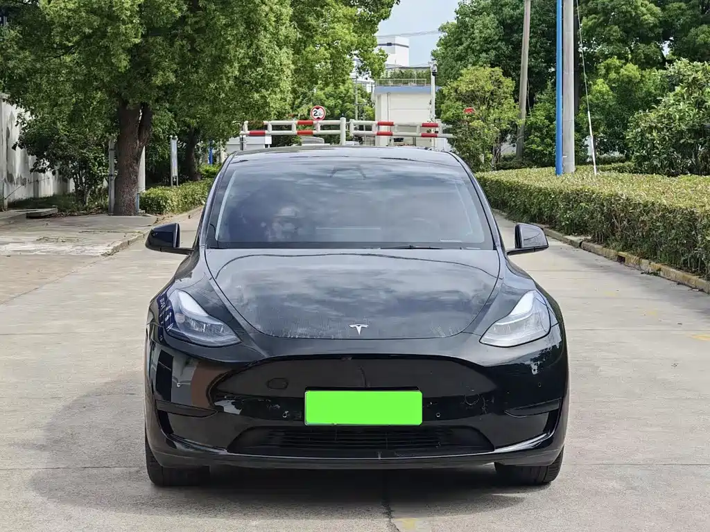 Tesla Model Y 2021 — фото 2
