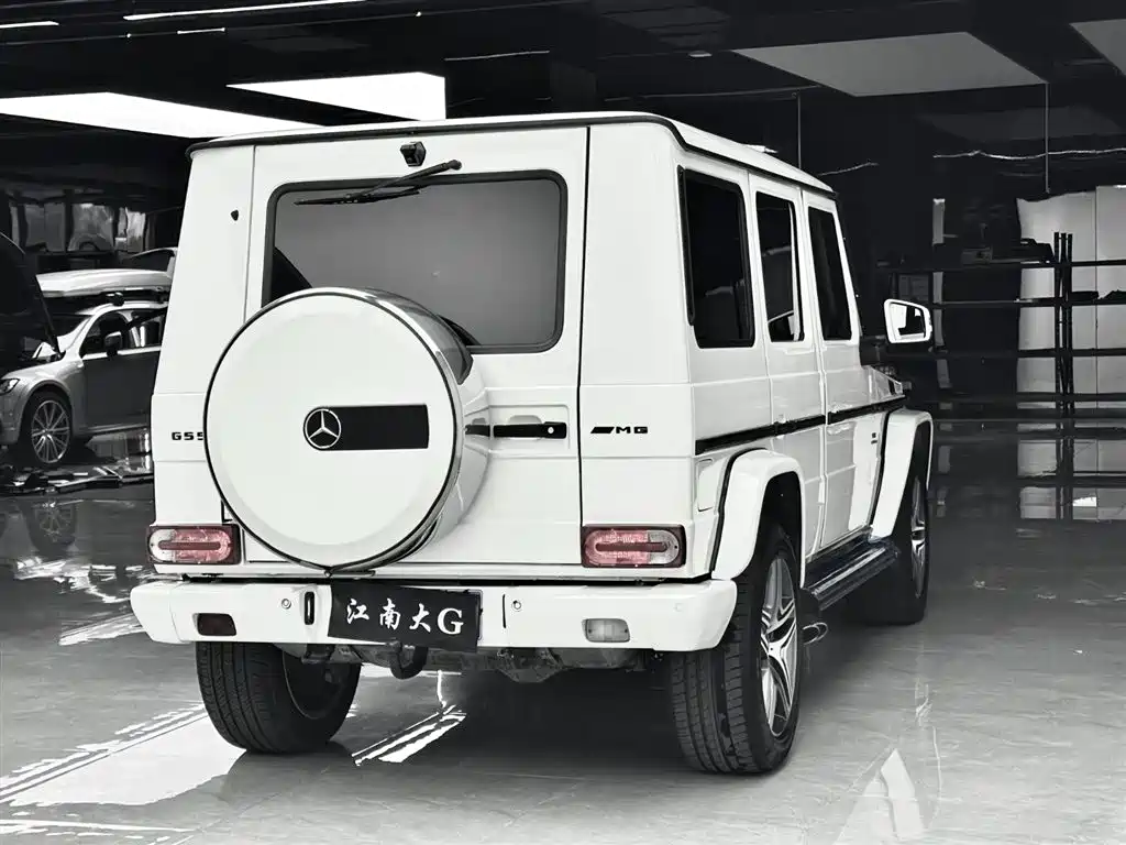 Mercedes-Benz G-Class AMG 2009 — фото 17
