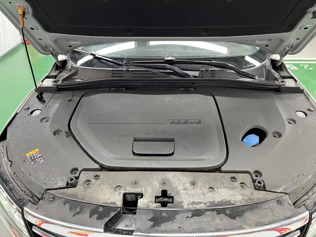Roewe RX5 New Energy 2018 — фото 30