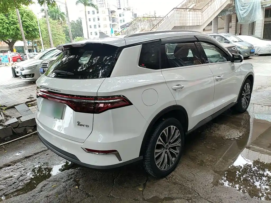 BYD Pro New Energy 2020 — фото 7