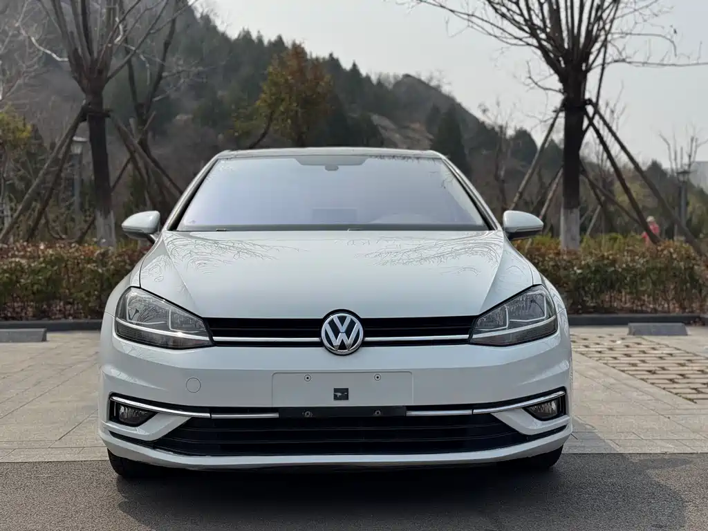 Volkswagen Golf 2019 — фото 2