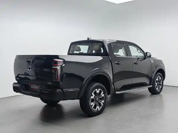 Great Wall Poer 2020
