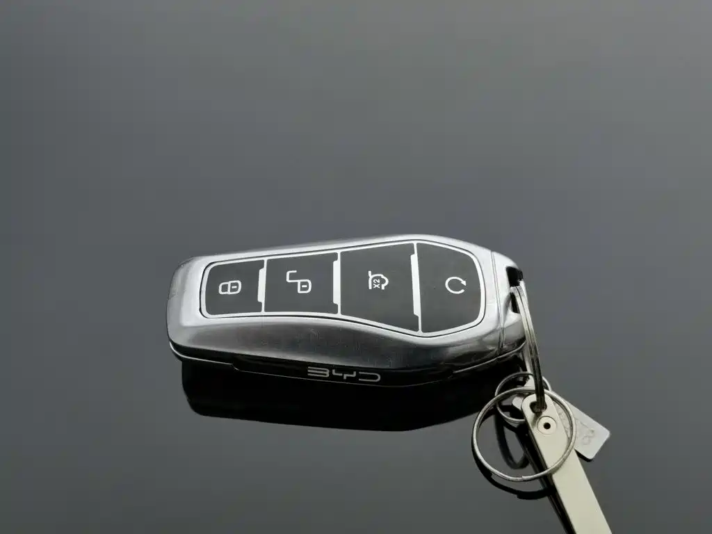 BYD Song PLUS New Energy 2024 — фото 19