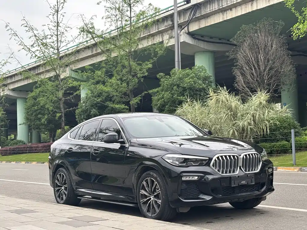 BMW X6 2021 — фото 13