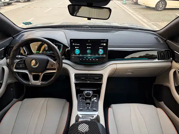BYD Song PLUS New Energy 2021
