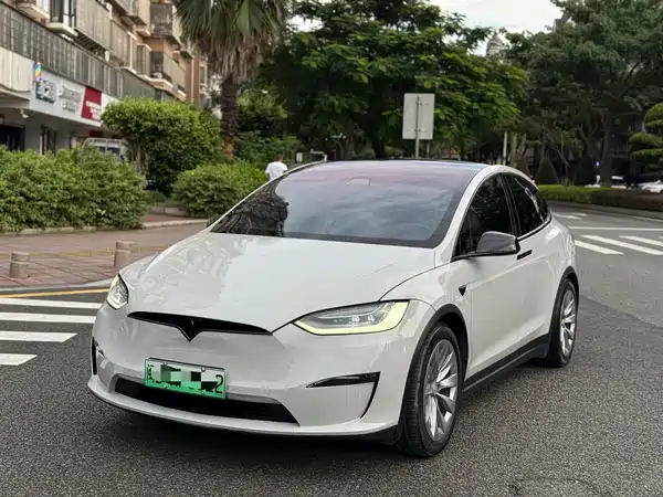 Tesla Model X 2020
