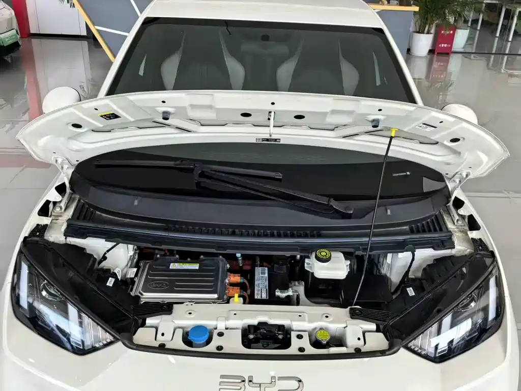 BYD Seagull 2025