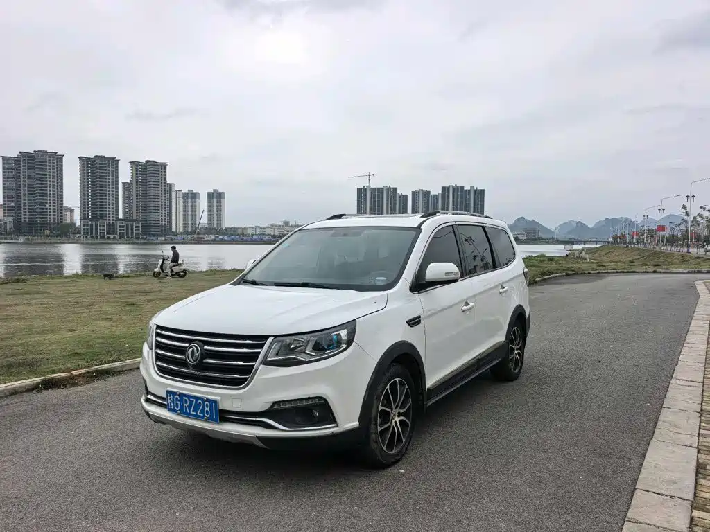 Fengxing SX6 2017