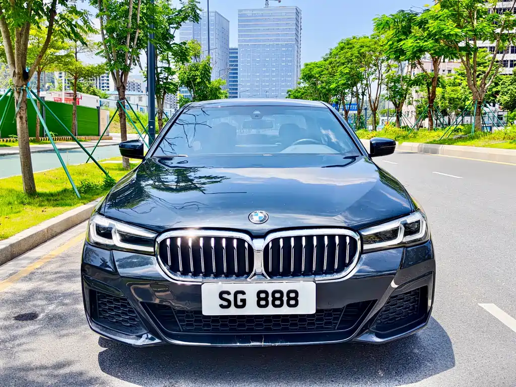 BMW 5 Series New Energy 2021