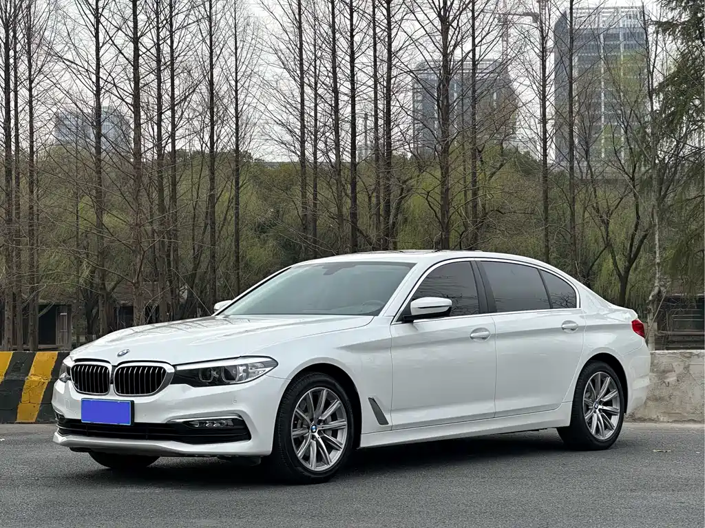 BMW 5 Series 2017 — фото 1