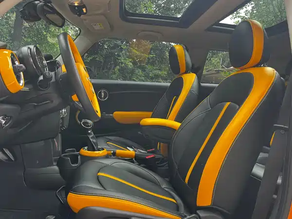 MINI MINI 2018