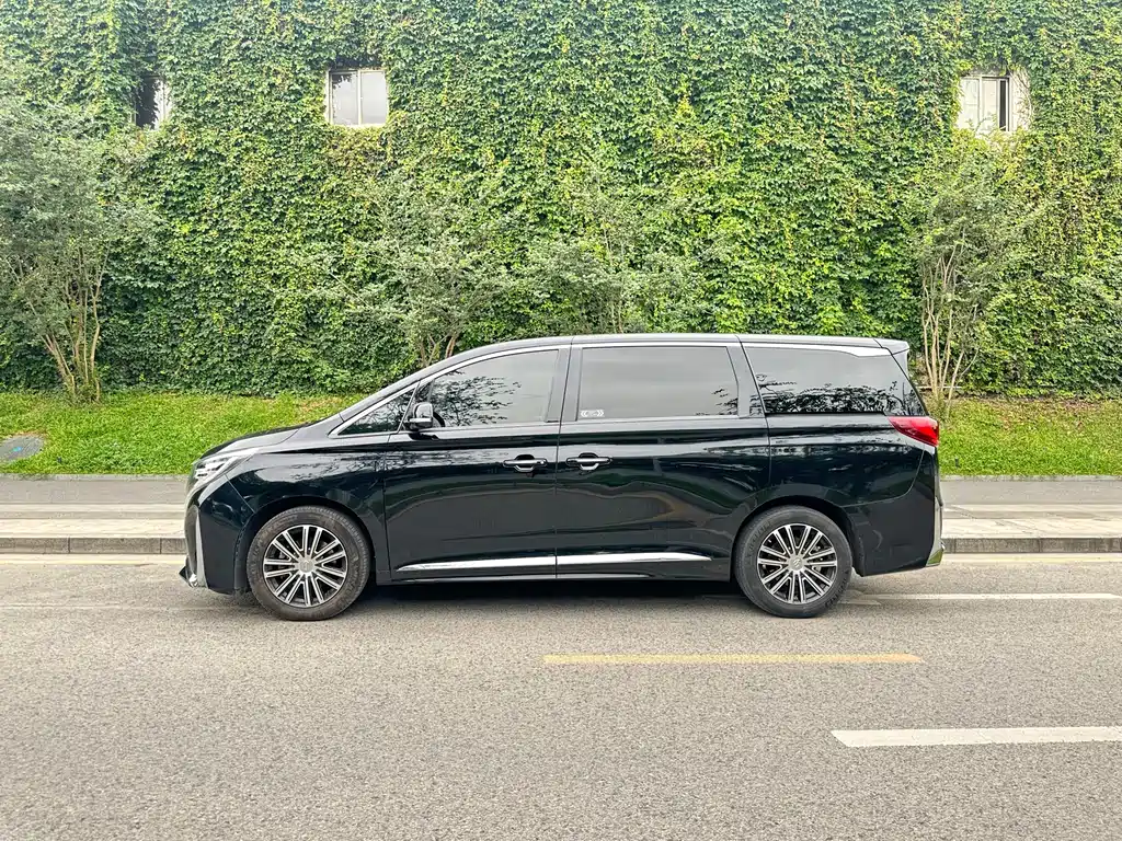 GAC Motor Trumpchi M8 2021 — фото 3
