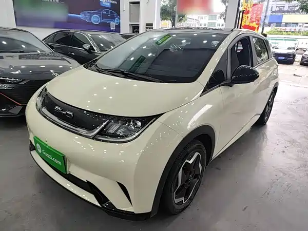 BYD Dolphin 2022