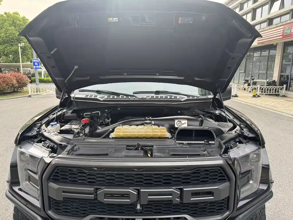 Ford F-150 Raptor 2019 — фото 13
