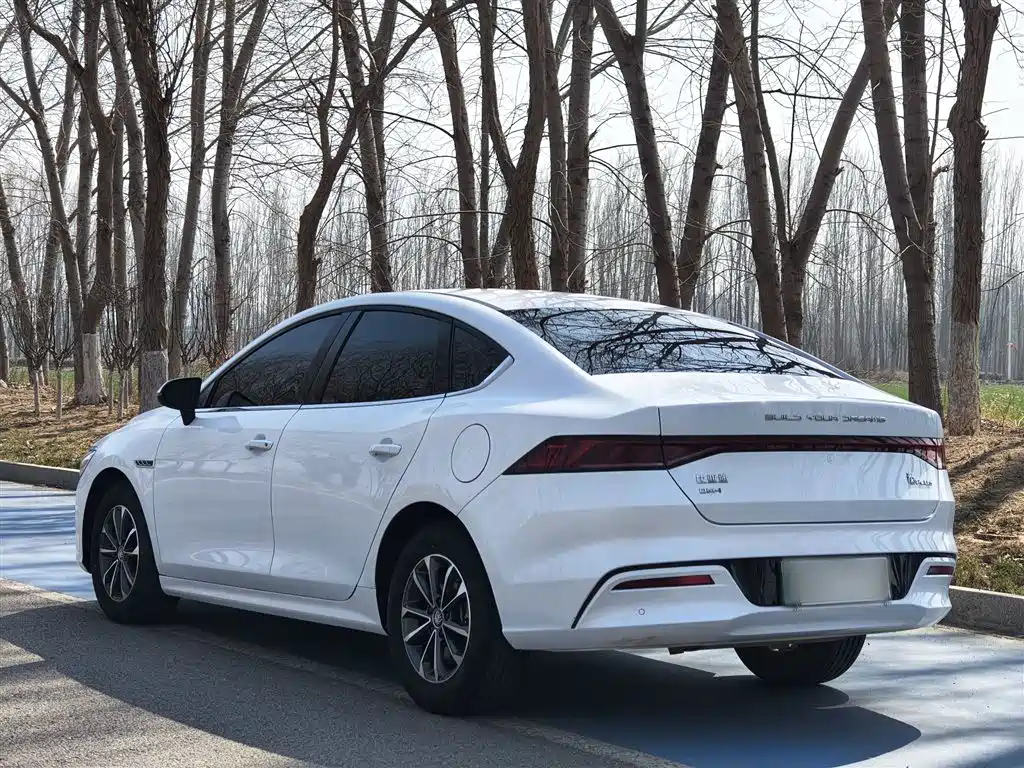 BYD Qin PLUS 2024 — фото 21