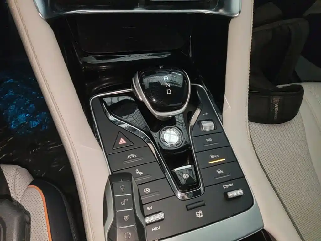 BYD Song PLUS New Energy 2022 — фото 14