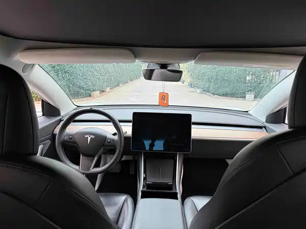 Tesla Model 3 2019