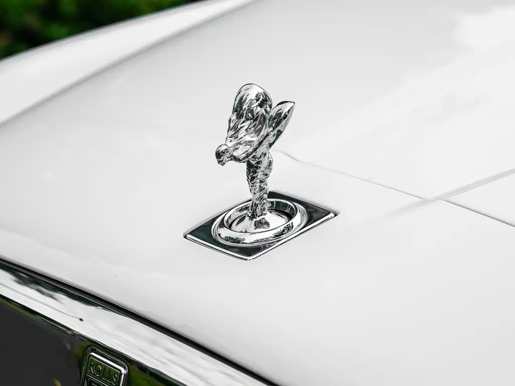 Rolls-Royce Cullinan 2021 — фото 22