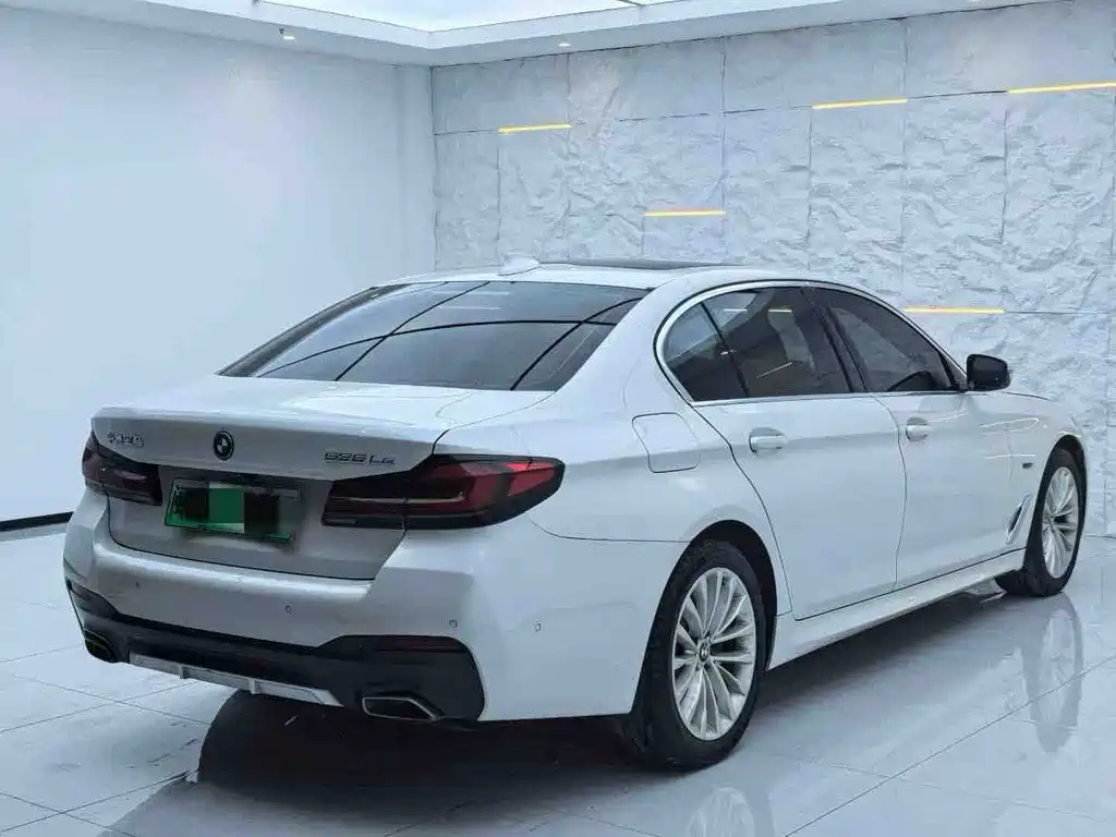 BMW 5 Series New Energy 2022