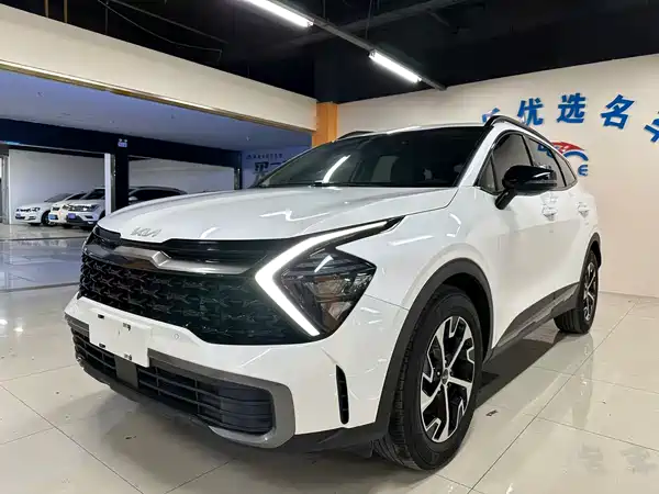 Kia Lion Platinum Expands The Boundary 2023