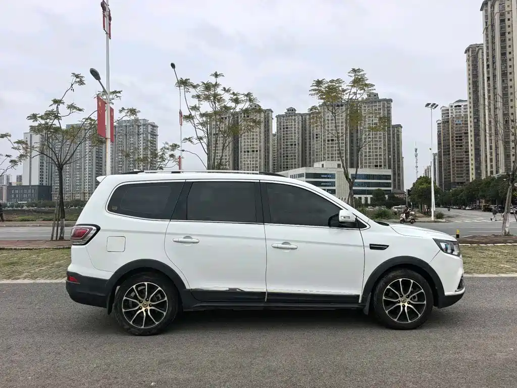 Fengxing SX6 2017