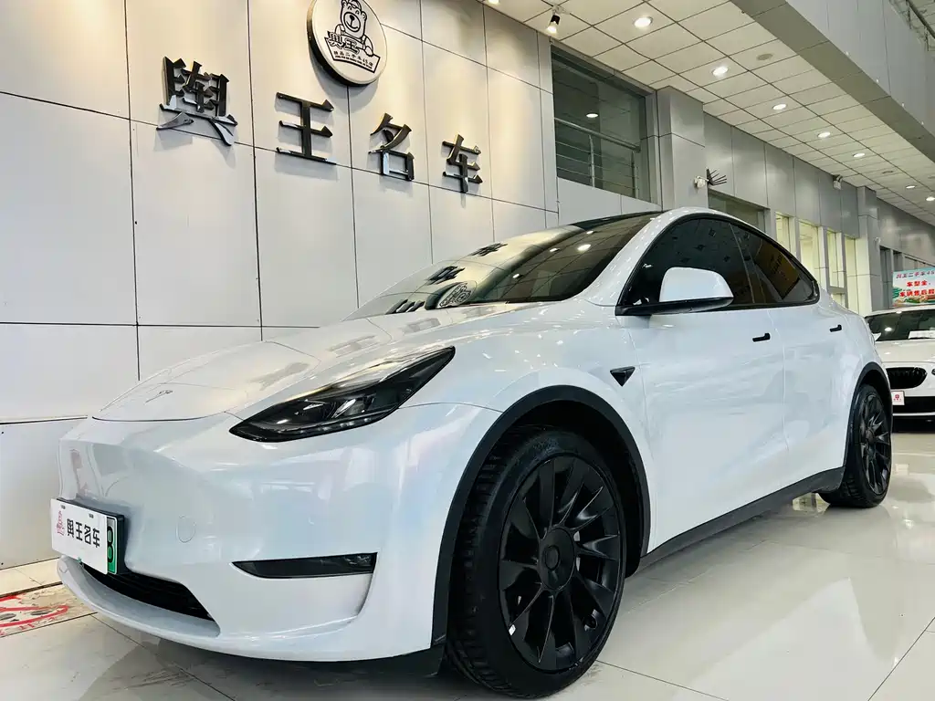 Tesla Model Y 2021 — фото 1