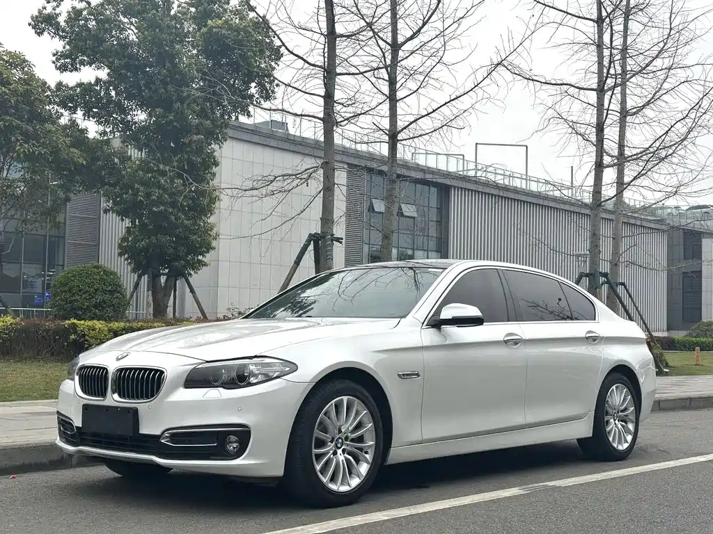 BMW 5 Series 2015 — фото 1
