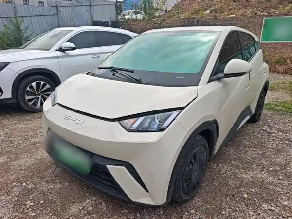 BYD Seagull 2024
