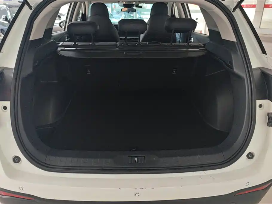 GAC Motor Trumpchi GS4 2021 — фото 4