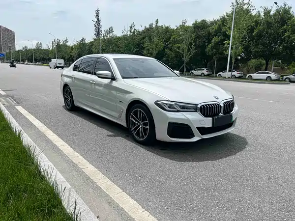 BMW 5 Series New Energy 2022