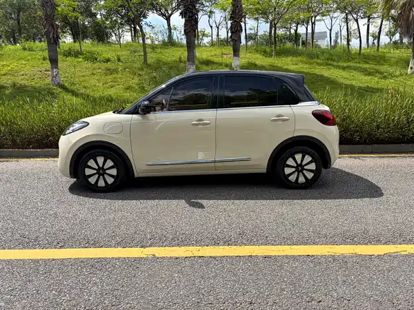 Wuling Bingo 2025
