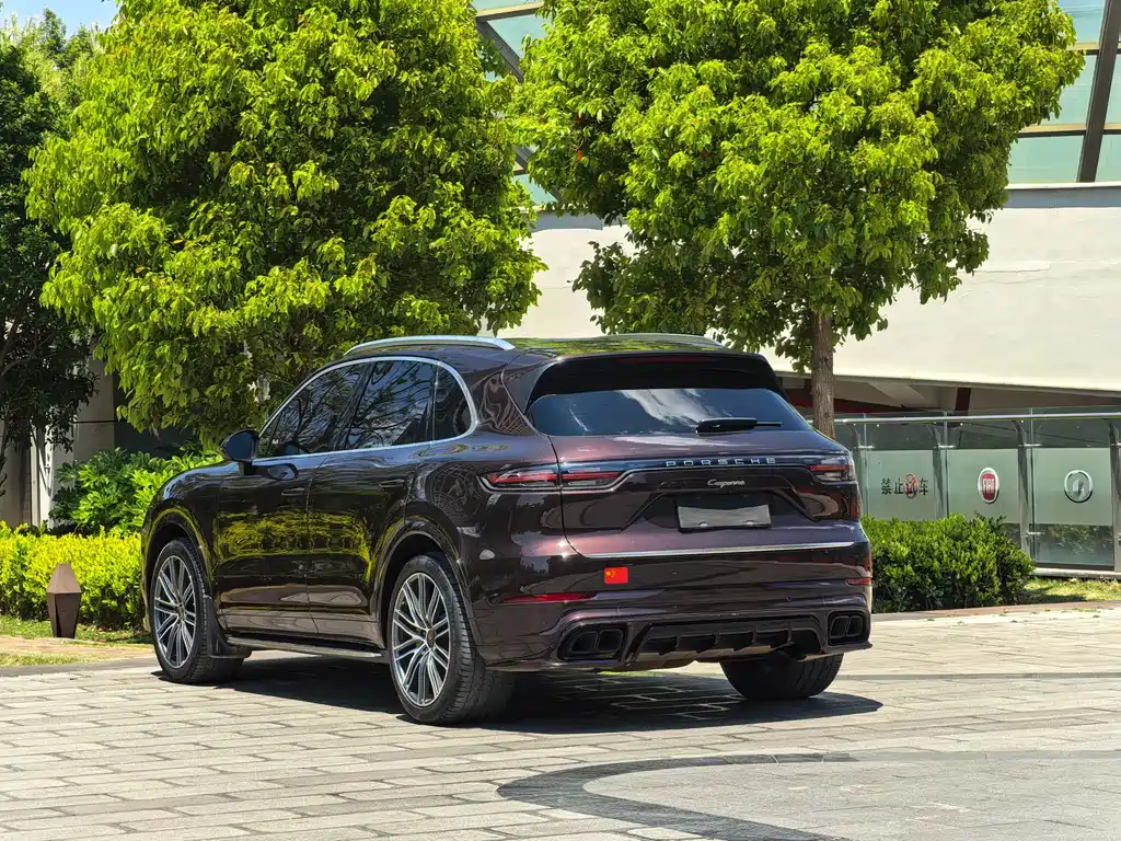 Porsche Cayenne 2020 — фото 5